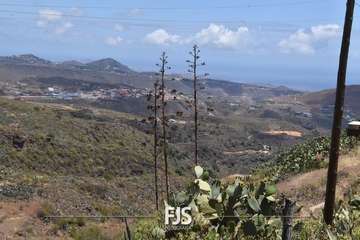 La Breña pone fin a sus fiestas con misa, procesión y verbena/Francisco Javier Santana.